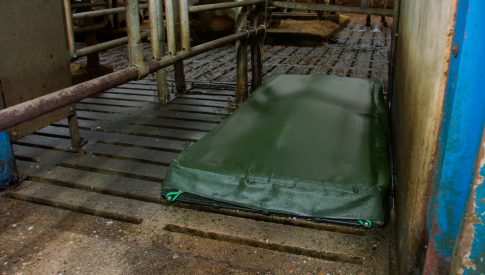 Pootbad voor desinfectie van klauwen - Sidijk