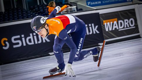 onderhoud ijsbaanboarding Sidijk expert in boardingen en paddingen